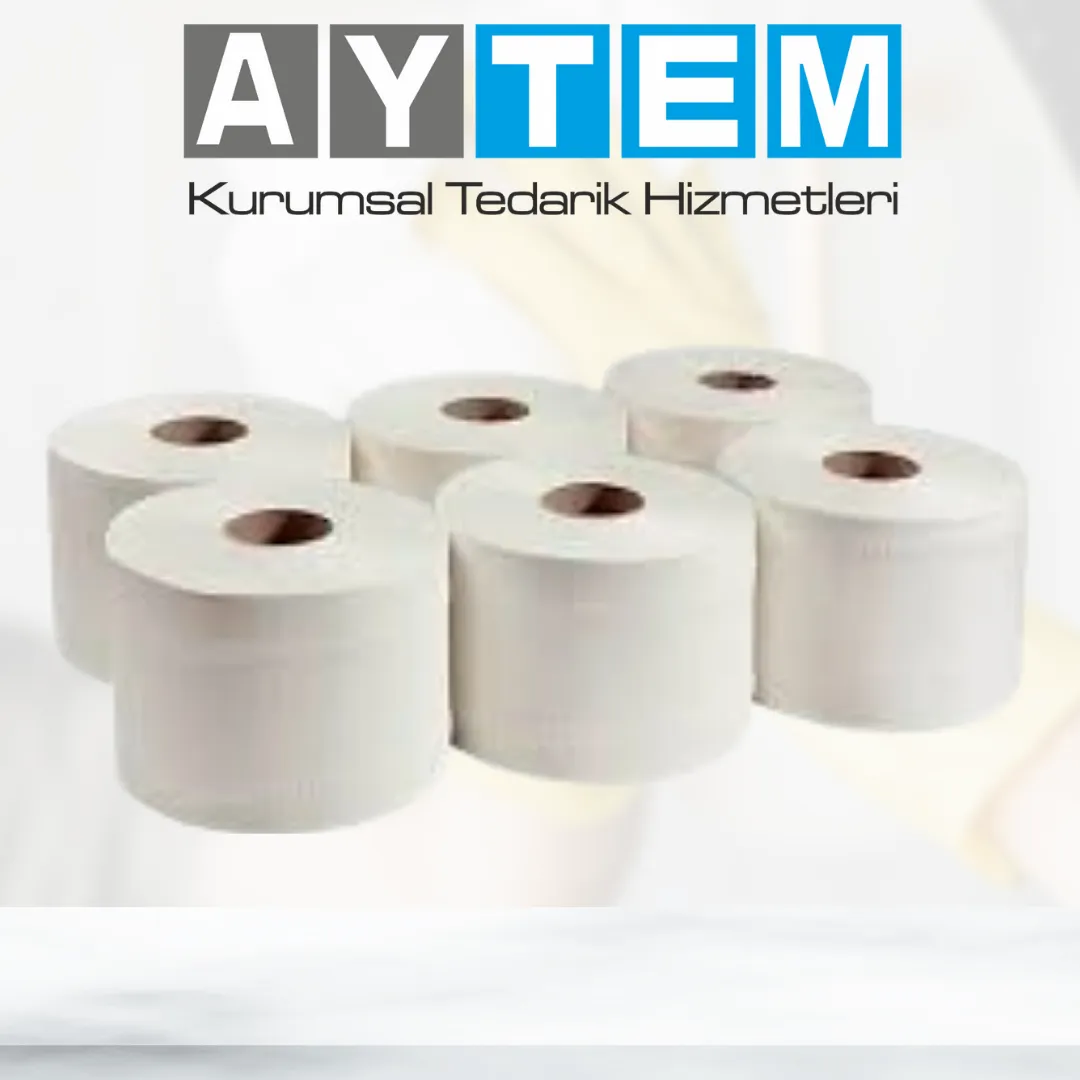 TORTE MİNİ JUMBO TUVALET KAĞIDI 12 Lİ